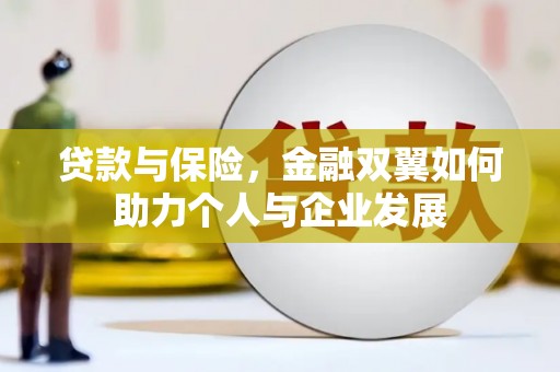 琼中贷款与保险，金融双翼如何助力个人与企业发展