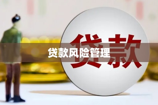 琼中贷款风险管理