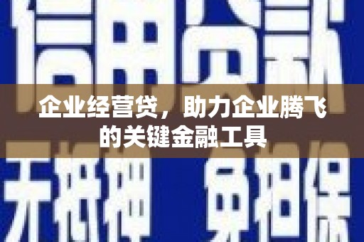 琼中企业经营贷，助力企业腾飞的关键金融工具
