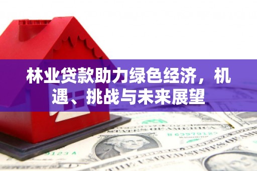 琼中林业贷款助力绿色经济，机遇、挑战与未来展望