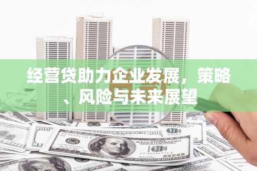 琼中经营贷助力企业发展，策略、风险与未来展望