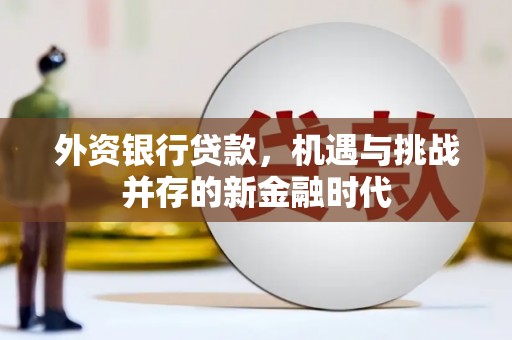 琼中外资银行贷款，机遇与挑战并存的新金融时代