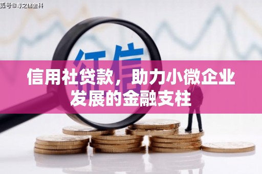 琼中信用社贷款，助力小微企业发展的金融支柱