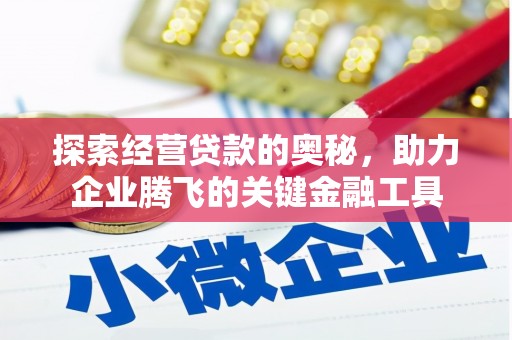 琼中探索经营贷款的奥秘，助力企业腾飞的关键金融工具