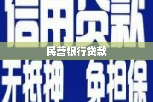 琼中民营银行贷款