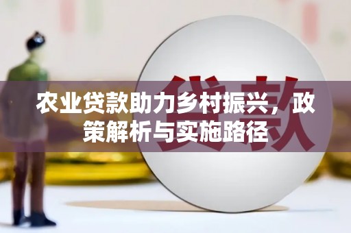 琼中农业贷款助力乡村振兴，政策解析与实施路径