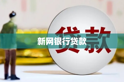 琼中新网银行贷款