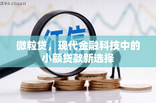 琼中微粒贷，现代金融科技中的小额贷款新选择