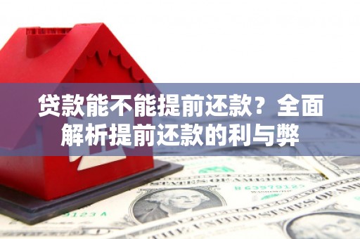 琼中贷款能不能提前还款？全面解析提前还款的利与弊