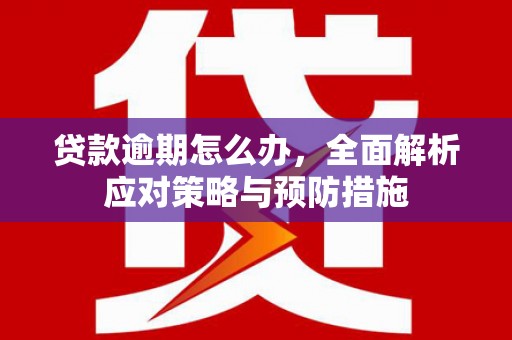 琼中贷款逾期怎么办，全面解析应对策略与预防措施