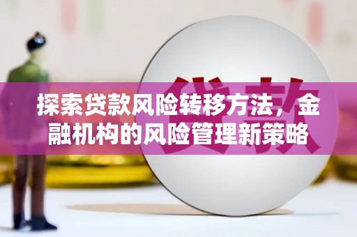 琼中探索贷款风险转移方法，金融机构的风险管理新策略