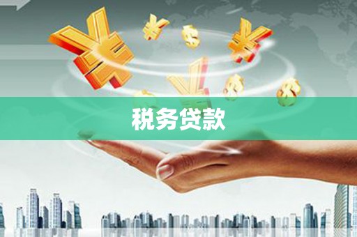琼中税务贷款