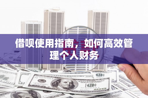 琼中借呗使用指南，如何高效管理个人财务