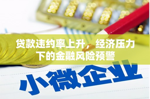琼中贷款违约率上升，经济压力下的金融风险预警