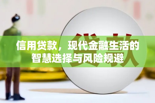 琼中信用贷款，现代金融生活的智慧选择与风险规避