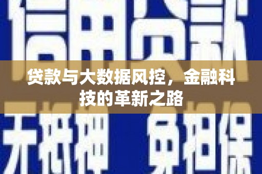 琼中贷款与大数据风控，金融科技的革新之路
