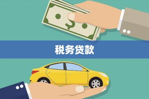 琼中税务贷款