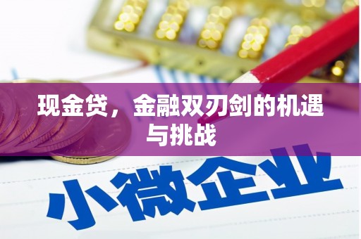 琼中现金贷，金融双刃剑的机遇与挑战