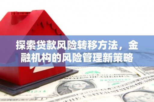 琼中探索贷款风险转移方法，金融机构的风险管理新策略