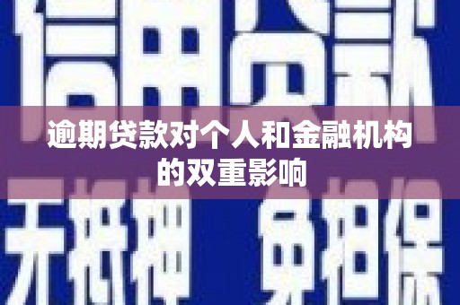 琼中逾期贷款对个人和金融机构的双重影响