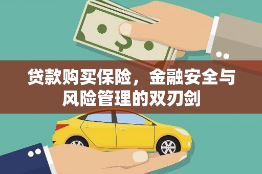 琼中贷款购买保险，金融安全与风险管理的双刃剑