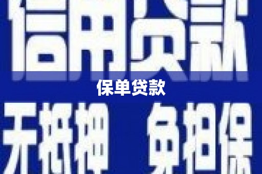 琼中保单贷款