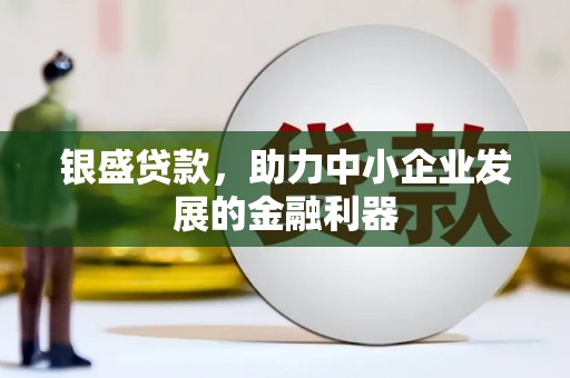 琼中银盛贷款，助力中小企业发展的金融利器