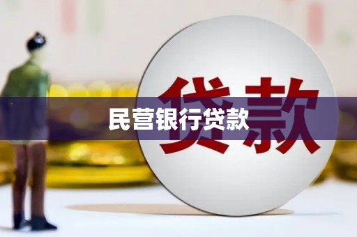 琼中民营银行贷款