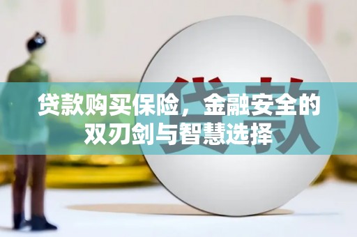 琼中贷款购买保险，金融安全的双刃剑与智慧选择