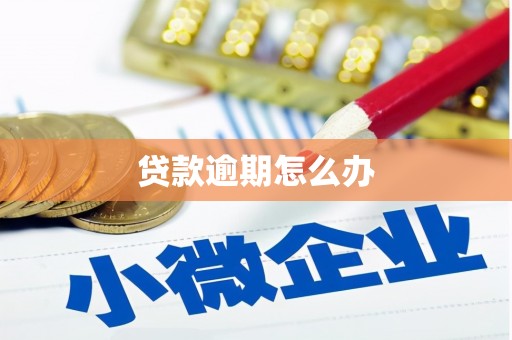 琼中贷款逾期怎么办