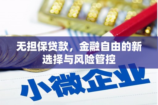 琼中无担保贷款，金融自由的新选择与风险管控