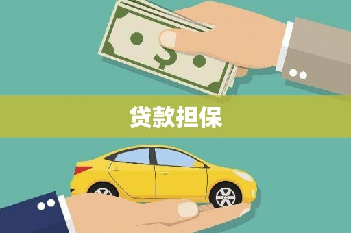 琼中贷款担保