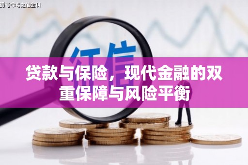琼中贷款与保险，现代金融的双重保障与风险平衡