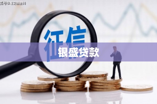 琼中银盛贷款
