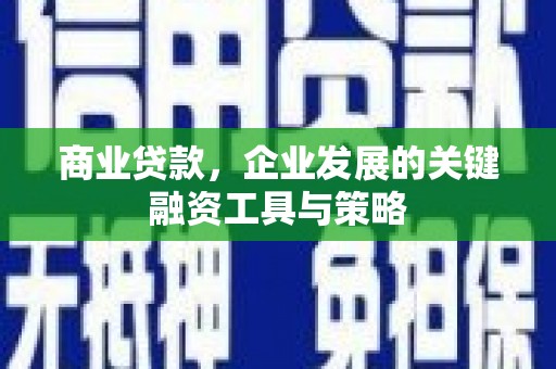 琼中商业贷款，企业发展的关键融资工具与策略