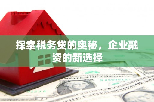 琼中探索税务贷的奥秘，企业融资的新选择