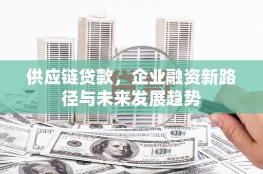 琼中供应链贷款，企业融资新路径与未来发展趋势