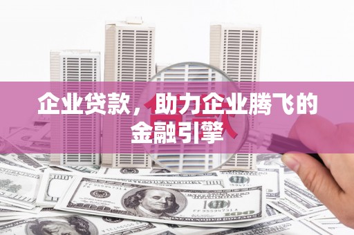 琼中企业贷款，助力企业腾飞的金融引擎
