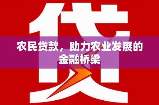 琼中农民贷款，助力农业发展的金融桥梁