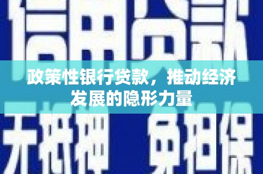 琼中政策性银行贷款，推动经济发展的隐形力量