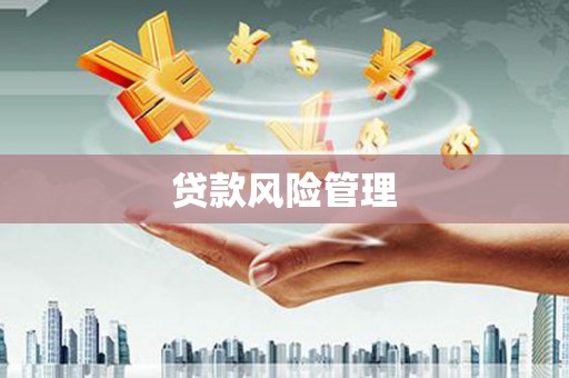 琼中贷款风险管理