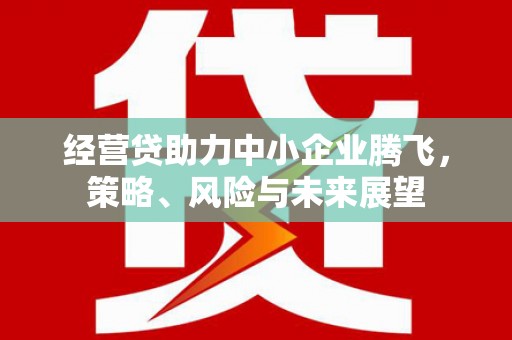 琼中经营贷助力中小企业腾飞，策略、风险与未来展望