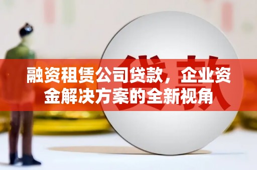 琼中融资租赁公司贷款，企业资金解决方案的全新视角