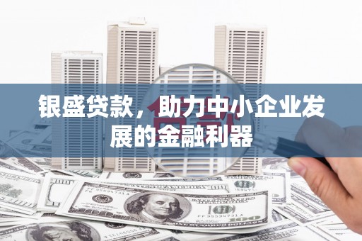 琼中银盛贷款，助力中小企业发展的金融利器