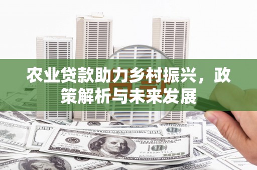 琼中农业贷款助力乡村振兴，政策解析与未来发展