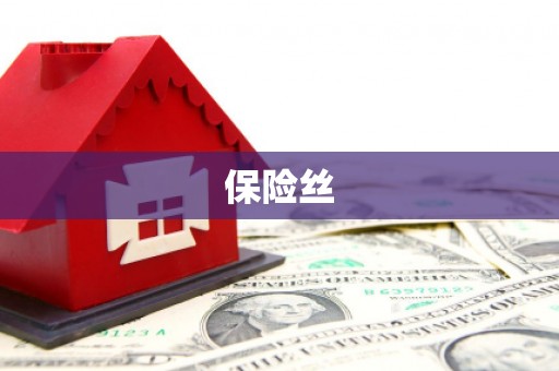 琼中保险丝