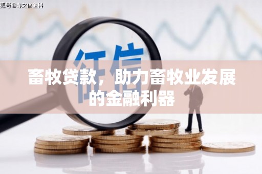 琼中畜牧贷款，助力畜牧业发展的金融利器