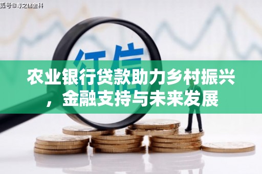琼中农业银行贷款助力乡村振兴，金融支持与未来发展
