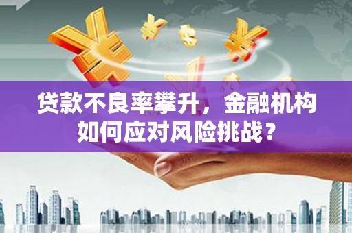 琼中贷款不良率攀升，金融机构如何应对风险挑战？
