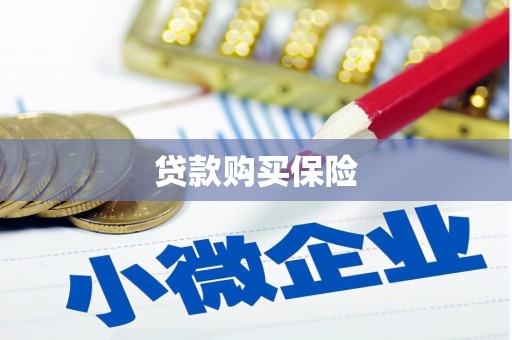 琼中贷款购买保险